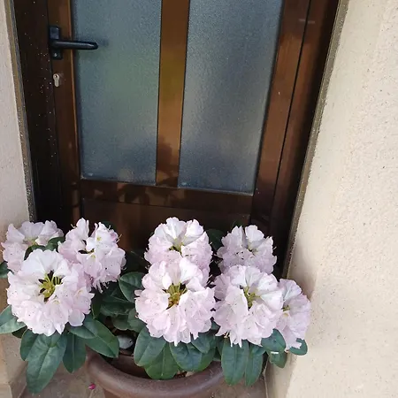 Casa Vacacional El Arroyo Феррерас-де-Арриба